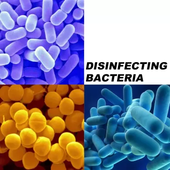 Jaysuing Swimming Pool Cleaning Tablets Jaysuing Swimming Pool Cleaning Tablets
